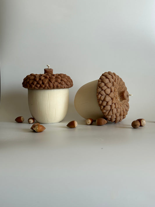 Le petit chêne